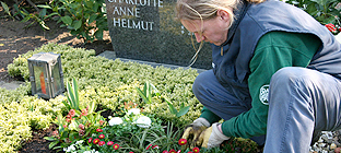Neuanlage Grabpflege Instandhaltung Leistung Friedhofsgärtner