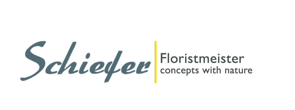 Schiefer Logo
