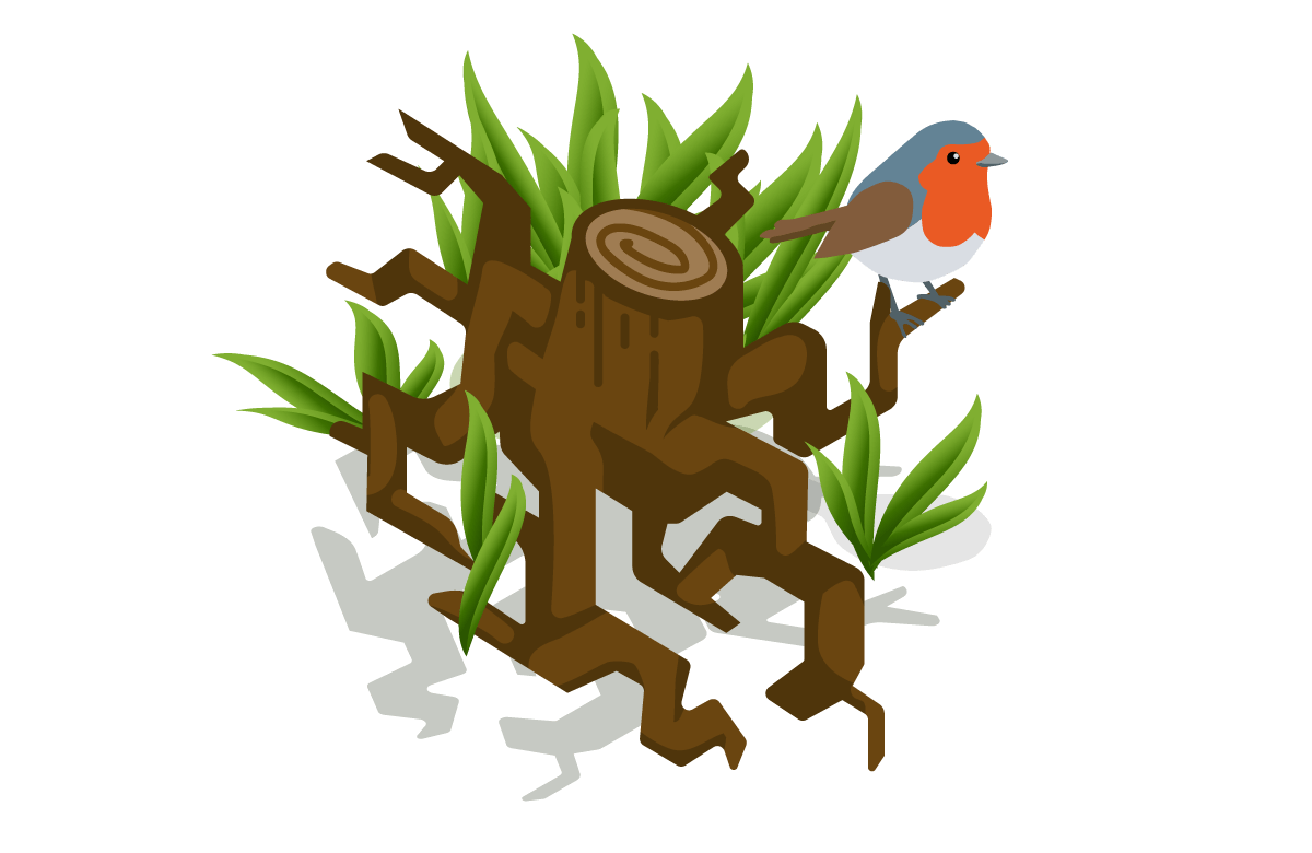 ein Rotkehlchen sitzt auf dem ast einer wurzel